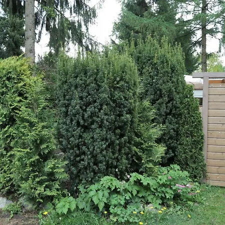 Veluwehuisje Speulderbos Putten